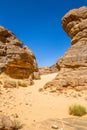 Sahara's landscape.  Tassili N'Ajjer, South Algeria Royalty Free Stock Photo